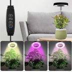Wachstumslampe für Zimmerpflanzen