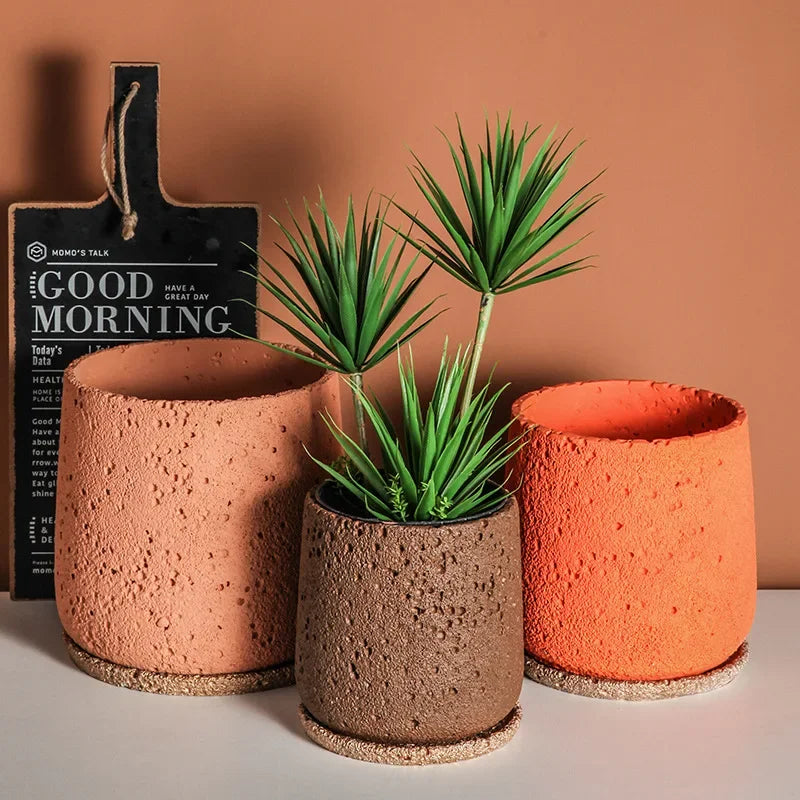 Mehr Verständis über Pflanzen
