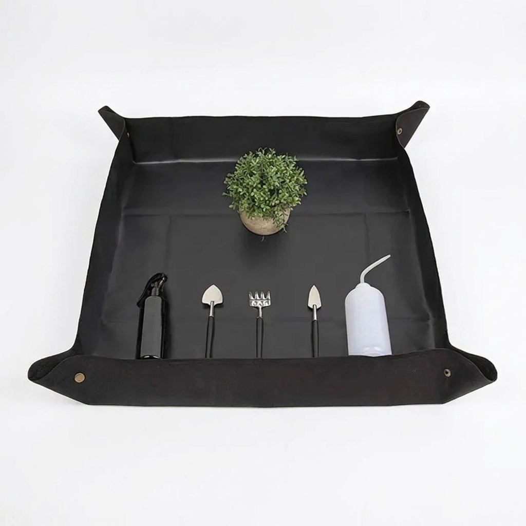 Hauspflanzen Pflege Set