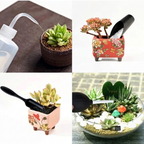 Hauspflanzen Pflege Set